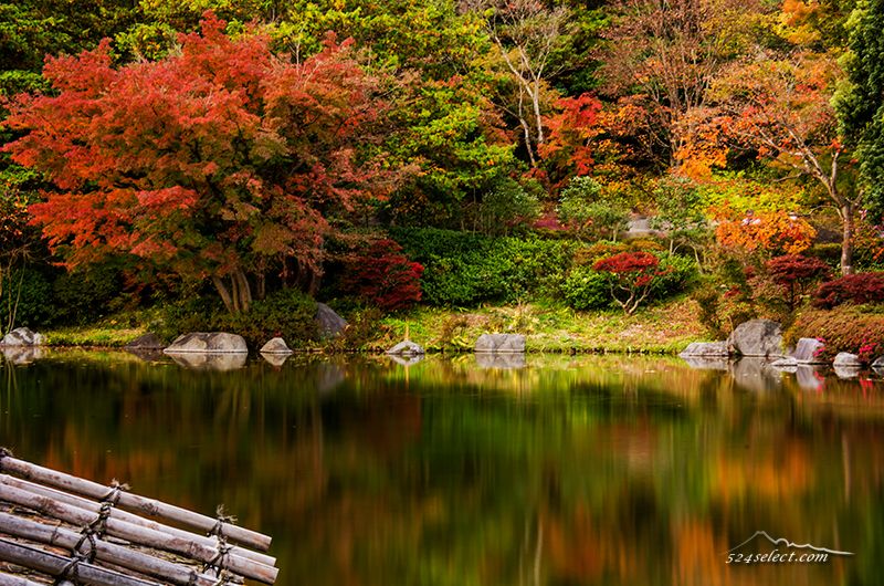 立川国営昭和記念公園内2015”日本庭園”の紅葉を撮影！東京も秋の彩り紅葉のある風景
