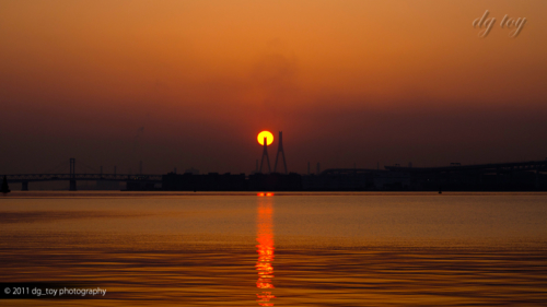 横浜港の朝陽