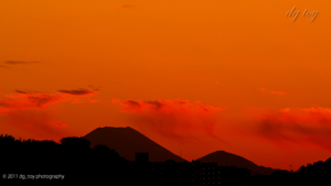 多摩川からの富士
