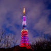 華嵐カラーの東京タワー