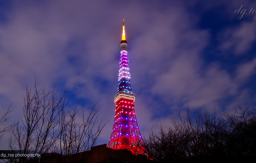 華嵐カラーの東京タワー