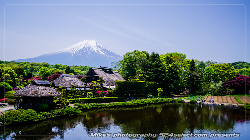 春の忍野八海と富士山の風景〜冠雪が残る富士と茅葺屋根の景色！