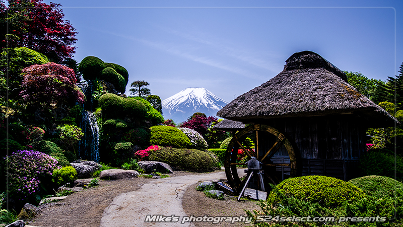 春の忍野八海と富士山の風景〜冠雪が残る富士と茅葺屋根の景色！