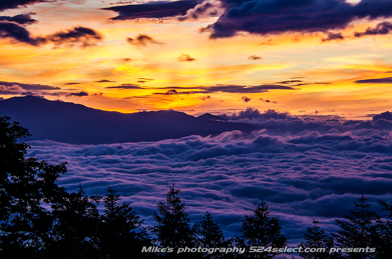 朝焼けと雲海そして富士山！何度でも見たい雲海のある景色を撮影！