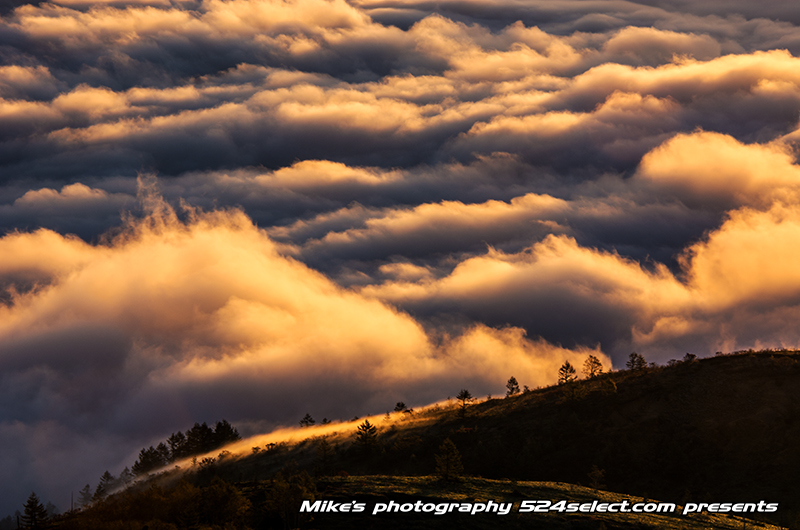 R292雲海からの日の出〜神々しくも荒々しい雲の波と朝日！雲海の見える絶景ポイント