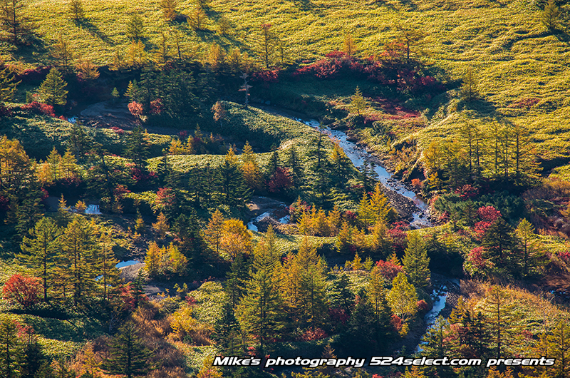 渋峠から見る芳ヶ平湿原の紅葉〜群馬県で北欧のような絶景風景！美しい景色が広がる絶景撮影ポイント