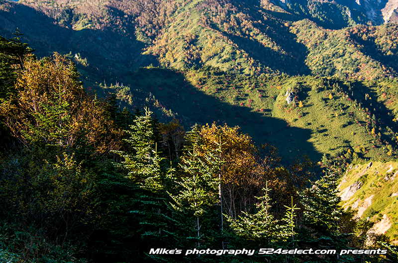 秋の紅葉に横手山山頂からの景色を撮影！絶景が広がる山々の紅葉！