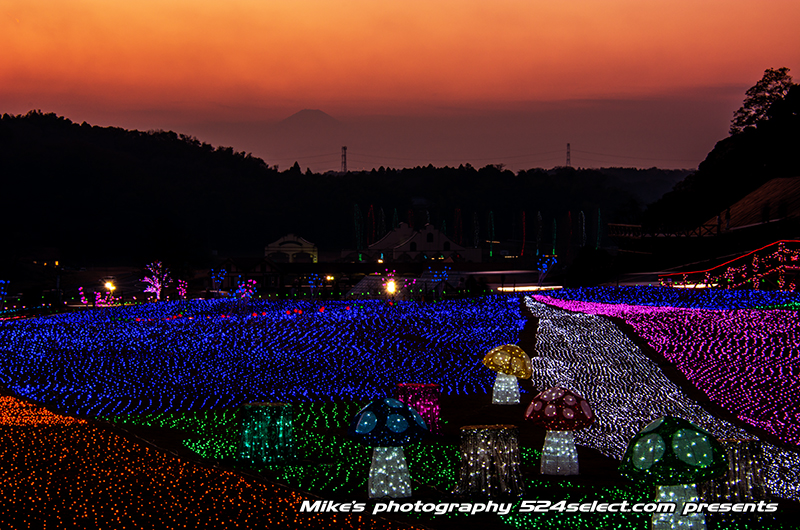 東京ドイツ村イルミネーション2013〜富士山も見える夕刻！房総半島最大のイルミで楽しむ夜景撮影