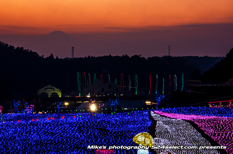 東京ドイツ村イルミネーション2013〜富士山も見える夕刻！房総半島最大のイルミで楽しむ夜景撮影