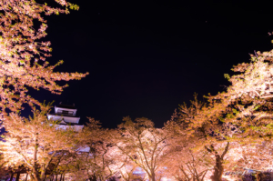 会津 鶴ヶ城(会津若松城)の夜桜