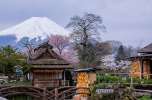 富士山と桜[忍野八海]-Mt.Fuji&SAKURA-Landscape JAPAN