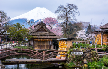 富士山と桜[忍野八海] 2014〜誇るべき日本の風景を！忍野村と富士山の春の風景撮影