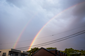 台風一過で虹が出た