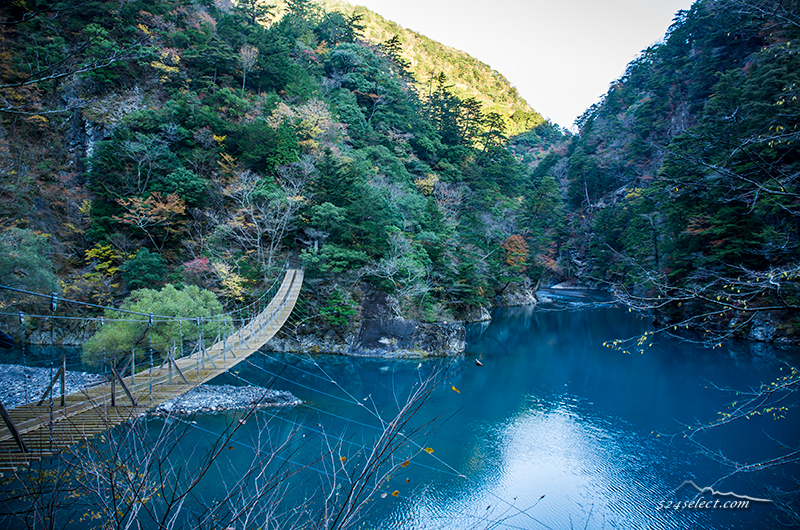 秋の紅葉間近の寸又峡（すまたきょう）”夢の吊り橋”を撮影！世界の徒歩吊り橋10選のひとつ