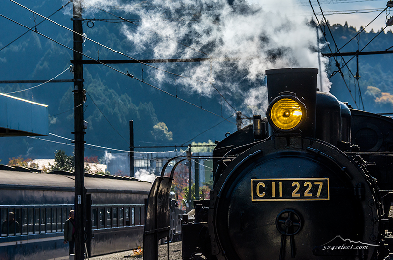 秋風にノスタルジック漂う大井川鐵道のSL[蒸気機関車]を撮影！秋のファミリー旅行におすすめの地