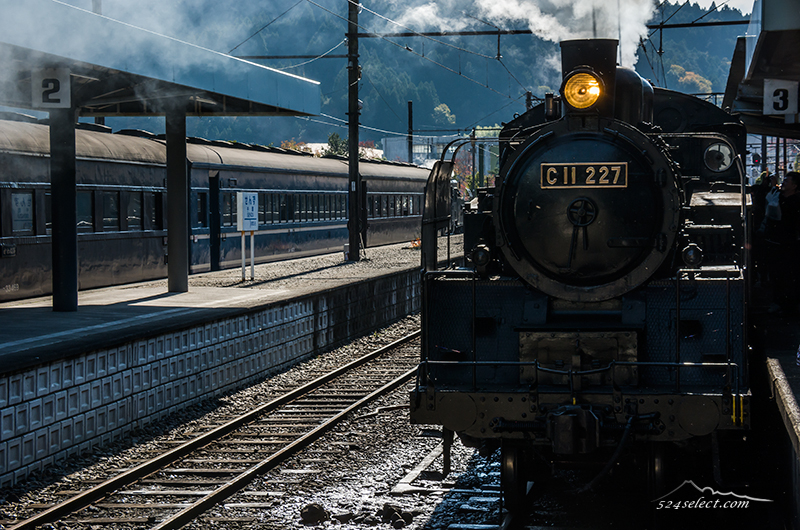 秋風にノスタルジック漂う大井川鐵道のSL[蒸気機関車]を撮影！秋のファミリー旅行におすすめの地