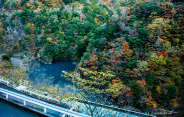 トンネルを抜けると秋色が広がる寸又峡（すまたきょう）の紅葉！秋の観光にお勧めの景色が広がる