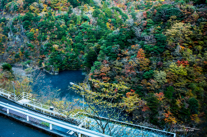 トンネルを抜けると秋色が広がる寸又峡（すまたきょう）の紅葉！秋の観光にお勧めの景色が広がる