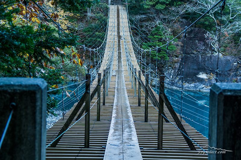 秋の紅葉間近の寸又峡（すまたきょう）”夢の吊り橋”を撮影！世界の徒歩吊り橋10選のひとつ