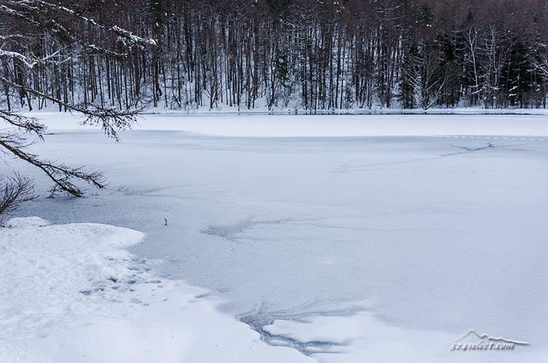 信州の冬景色〜雪に覆われる冬の御射鹿池（みしゃかいけ）！氷結した水面の美しさが広がる風景