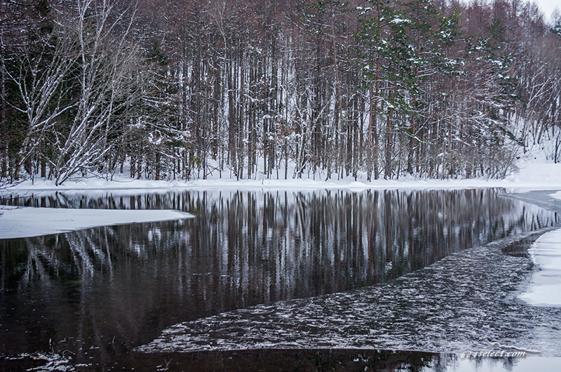 信州の冬景色〜雪に覆われる冬の御射鹿池（みしゃかいけ）！氷結した水面の美しさが広がる風景