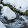 信州路の冬景色〜雪の小川で冬の自然を感じる風景写真を撮影！水の流れと雪の風景