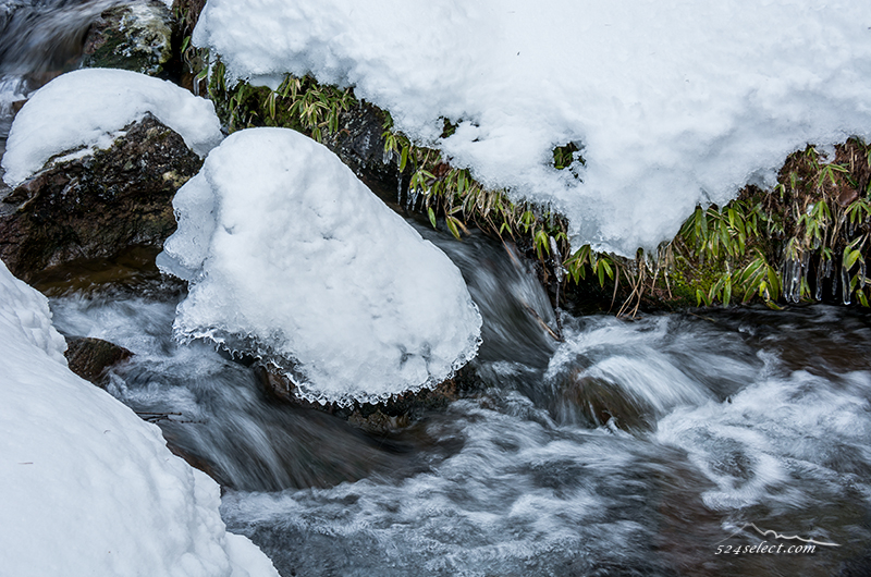 信州路の冬景色〜雪の小川で冬の自然を感じる風景写真を撮影！水の流れと雪の風景