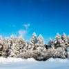 雪と木々の冬景色[信州路]