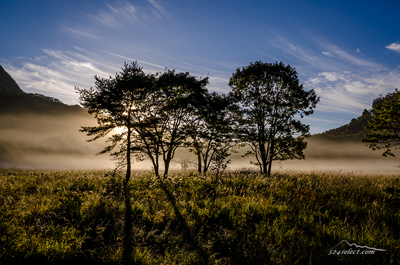 静かな湖畔の森の影から…朝霧に揺らぐ陰影[群馬県]メロディロード