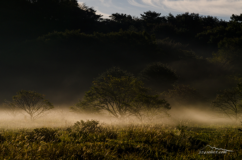 静かな湖畔の森の影から…朝霧に揺らぐ陰影[群馬県]メロディロード