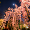 浅草寺で桜を撮影したりする…都内の桜は満開で春真っ盛りお花見の季節