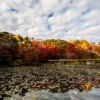 福島県二本松市二本松城（霞ヶ城）2015県立霞ヶ城公園の紅葉！色とりどりの秋の風景