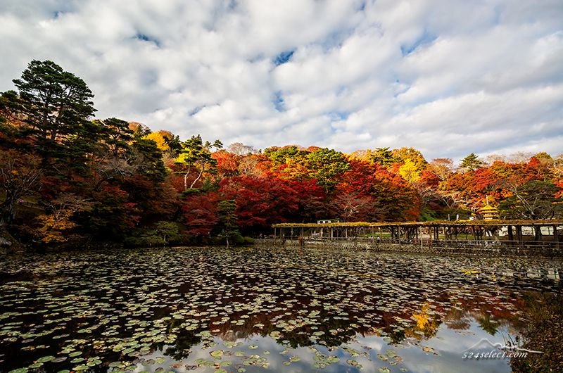 福島県二本松市二本松城（霞ヶ城）2015県立霞ヶ城公園の紅葉！色とりどりの秋の風景