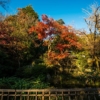 深大寺の紅葉2015〜秋の色彩り豊かに見頃の紅葉期始まる！東京の紅葉の始まり調布市深