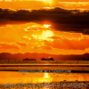 東京湾江川海岸の夕焼け・夕日の美しい干潟のある木更津の浜辺！海に落ちる夕日の光